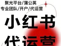 小红书蒲公英+聚光平台-一站式开户代充+全链路代运营,让种草精准变现！