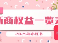 2025年小红书新商权益一览表