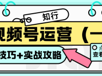 视频号运营，规则+技巧+实战攻略（一）