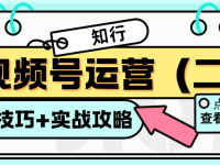 视频号运营，规则+技巧+实战攻略（二）